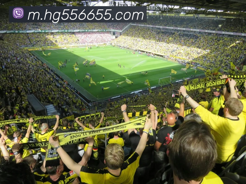 App 展示图
